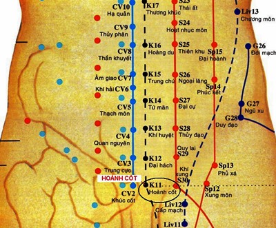 Huyệt Hoành Cốt - Y CỔ TRUYỀN