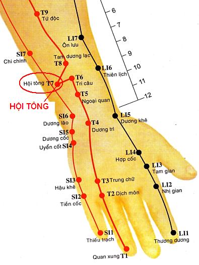 Huyệt Hội Tông - Y CỔ TRUYỀN