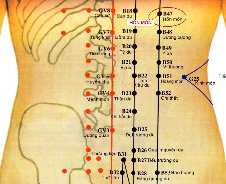 Huyệt Hồn Môn - Y CỔ TRUYỀN