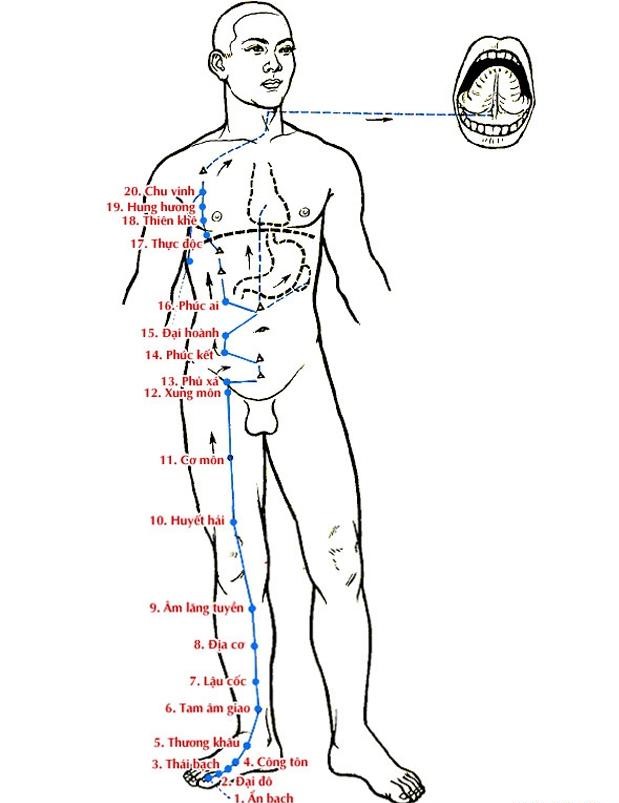 Huyệt Hung Hương - Y CỔ TRUYỀN