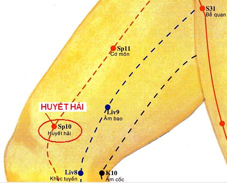 Huyệt Huyết Hải - Y CỔ TRUYỀN