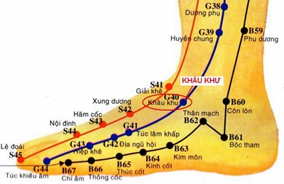Huyệt Khâu Khư - Y CỔ TRUYỀN