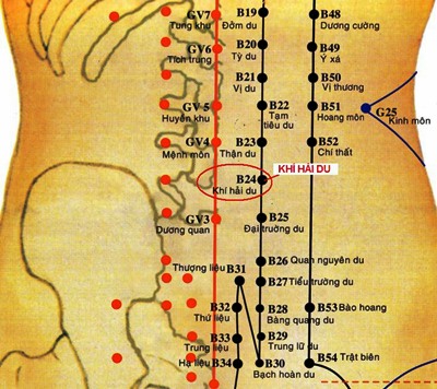 Huyệt Khí Hải Du - Y CỔ TRUYỀN
