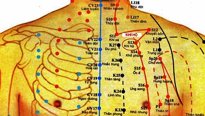 Huyệt Khí Hộ - Y CỔ TRUYỀN