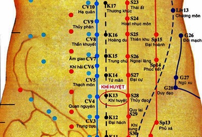 Huyệt Khí Huyệt - Y CỔ TRUYỀN