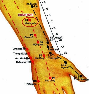 Huyệt Khích Môn - Y CỔ TRUYỀN