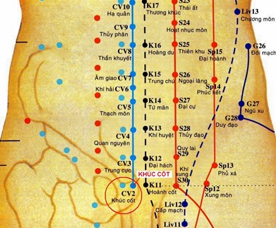 Huyệt Khúc Cốt - Y CỔ TRUYỀN