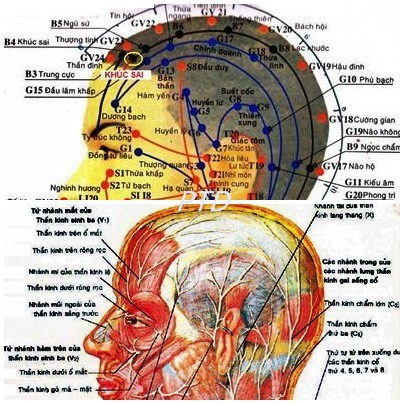Huyệt Khúc Sai - Y CỔ TRUYỀN