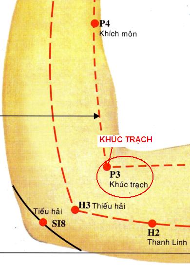 Huyệt Khúc Trạch - Y CỔ TRUYỀN