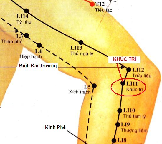 Huyệt Khúc Trì - Y CỔ TRUYỀN