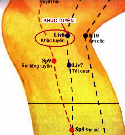 Huyệt Khúc Tuyền - Y CỔ TRUYỀN