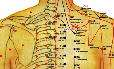 Huyệt Khúc Viên - Y CỔ TRUYỀN
