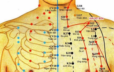 Huyệt Khuyết Bồn - Y CỔ TRUYỀN