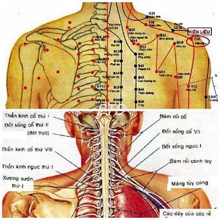Huyệt Kiên Liêu - Y CỔ TRUYỀN