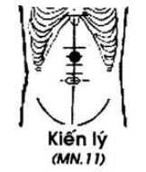 Huyệt Kiến Lý - Y CỔ TRUYỀN