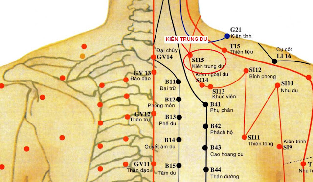 Huyệt Kiên Trung Du - Y CỔ TRUYỀN