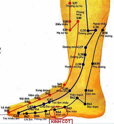 Huyệt Kinh Cốt - Y CỔ TRUYỀN