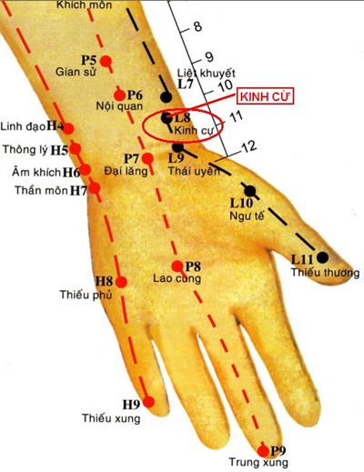Huyệt Kinh Cừ - Y CỔ TRUYỀN