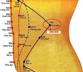 Huyệt Kinh Môn - Y CỔ TRUYỀN