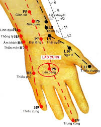 Huyệt Lao Cung - Y CỔ TRUYỀN