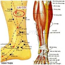 Huyệt Lậu Cốc - Y CỔ TRUYỀN
