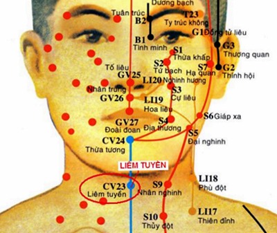 Huyệt Liêm Tuyền - Y CỔ TRUYỀN