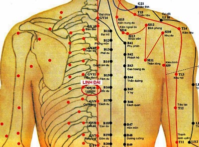 Huyệt Linh Đài - Y CỔ TRUYỀN
