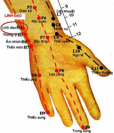 Huyệt Linh Đạo - Y CỔ TRUYỀN