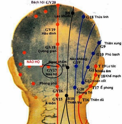 Huyệt Não Hộ - Y CỔ TRUYỀN