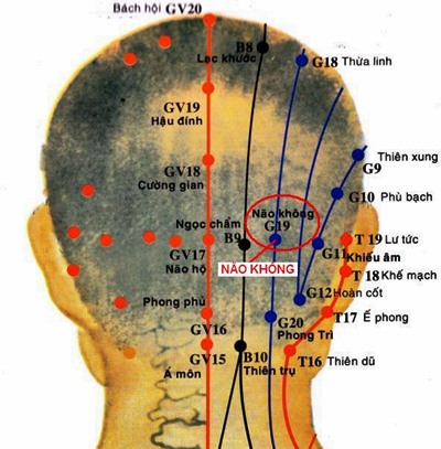 Huyệt Não Không - Y CỔ TRUYỀN