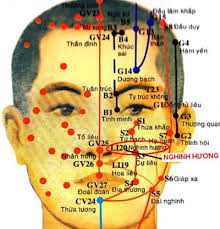 Huyệt Nghênh Hương - Y CỔ TRUYỀN