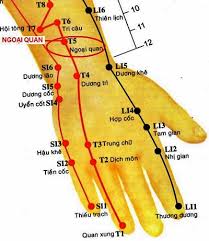 Huyệt Ngoại Quan - Y CỔ TRUYỀN