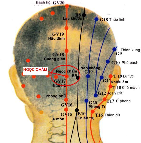Huyệt Ngọc Chẩm - Y CỔ TRUYỀN