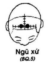 Huyệt Ngũ Xứ - Y CỔ TRUYỀN