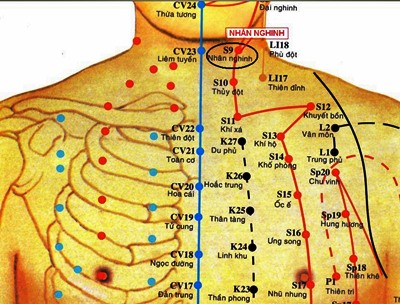 Huyệt Nhân Nghênh - Y CỔ TRUYỀN