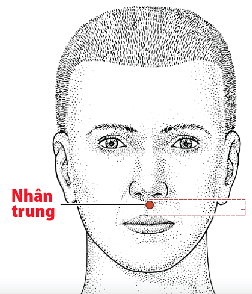 Huyệt Nhân Trung - Y CỔ TRUYỀN