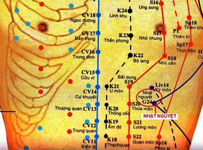 Huyệt Nhật Nguyệt - Y CỔ TRUYỀN