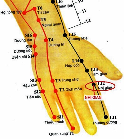Huyệt Nhị Gian - Y CỔ TRUYỀN