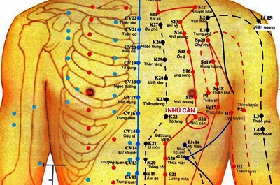 Huyệt Nhũ Căn - Y CỔ TRUYỀN