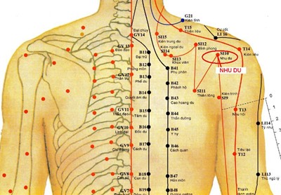 Huyệt Nhu Du - Y CỔ TRUYỀN
