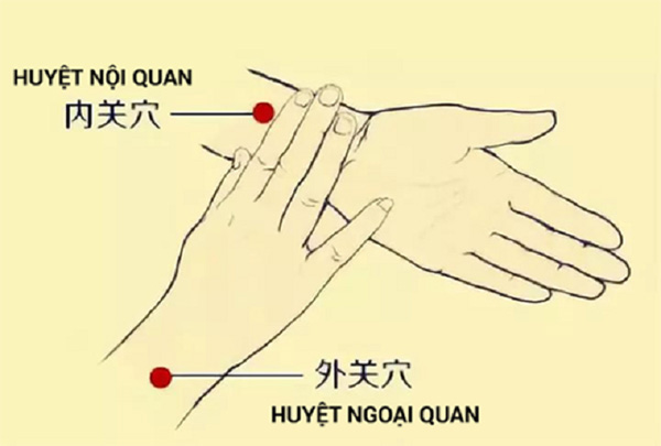 Huyệt Nội Quan - Y CỔ TRUYỀN