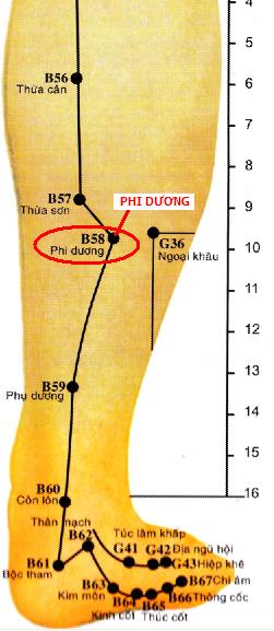 Huyệt Phi Dương - Y CỔ TRUYỀN