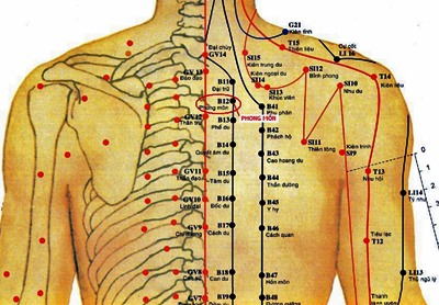 Huyệt Phong Môn - Y CỔ TRUYỀN