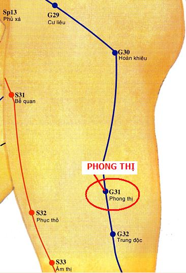Huyệt Phong Thị - Y CỔ TRUYỀN