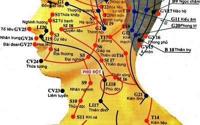 Huyệt Phù Đột - Y CỔ TRUYỀN