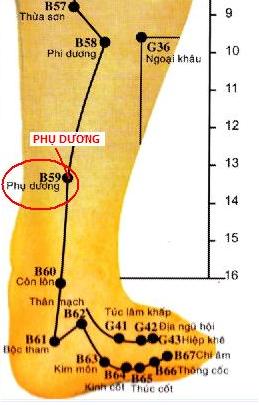 Huyệt Phụ Dương - Y CỔ TRUYỀN