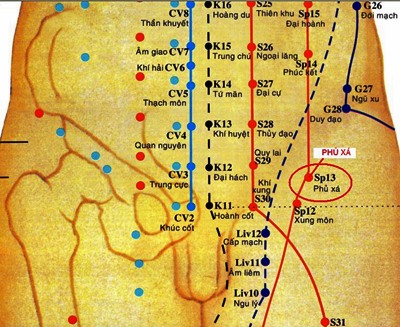 Huyệt Phủ Xá - Y CỔ TRUYỀN