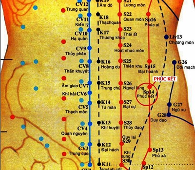 Huyệt Phúc Kết - Y CỔ TRUYỀN