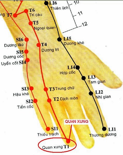 Huyệt Quan Xung - Y CỔ TRUYỀN