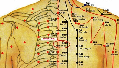 Huyệt Quyết Âm Du - Y CỔ TRUYỀN